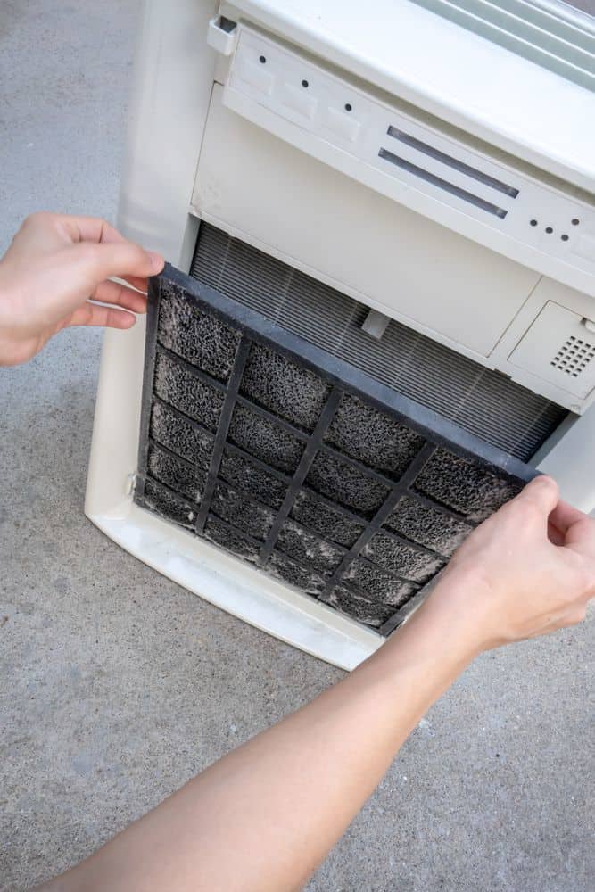 cleaning and replacing air filter in air purifier